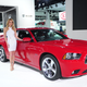 Illustration for article titled The Booth Professionals Of The Detroit Auto Show